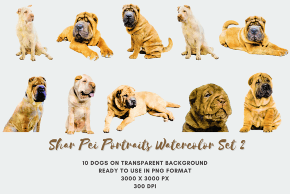 10 Shar Pei Portraits Watercolor Set 2 – A Versatile Digital Art Collection for Creative Projects