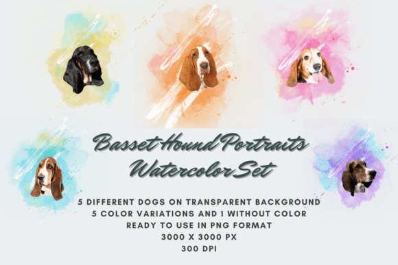 30 Basset Hound Portraits Watercolor Set