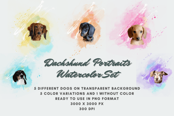 30 Dachshund Portraits Watercolor Set