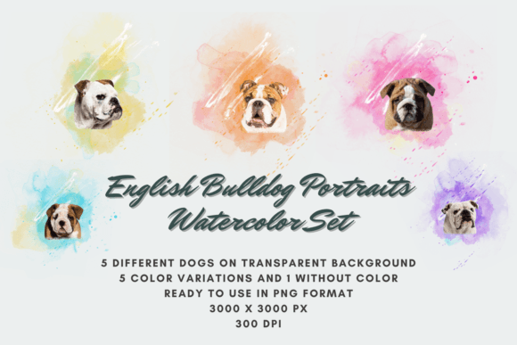 30 English Bulldog Portraits Watercolor: A Versatile Digital Asset for Creative Projects