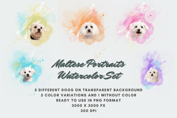 30 Maltese Portraits Watercolor Set: A Strategic Tool for Creative and Professional Projects