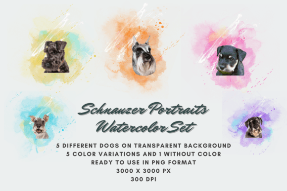 30 Schnauzer Portraits Watercolor Set