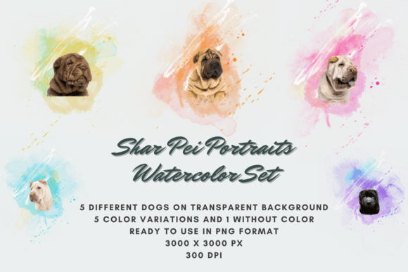 30 Shar Pei Portraits Watercolor Set: A Versatile Digital Resource for Creative Projects