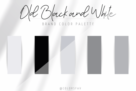 Brand Color Old Black and White Bundle: A Timeless Approach to Brand Identity