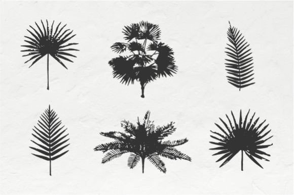 Palm Vintage Illustration Vector: Adding Timeless Charm to Modern Creativity