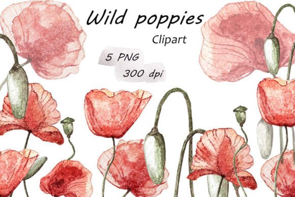 Watercolor Wild Poppies Clipart PNG: A Versatile Asset for Creative Projects